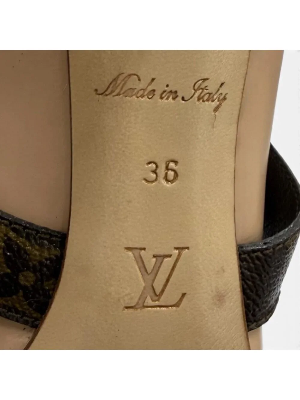 Louis Vuitton brand louis